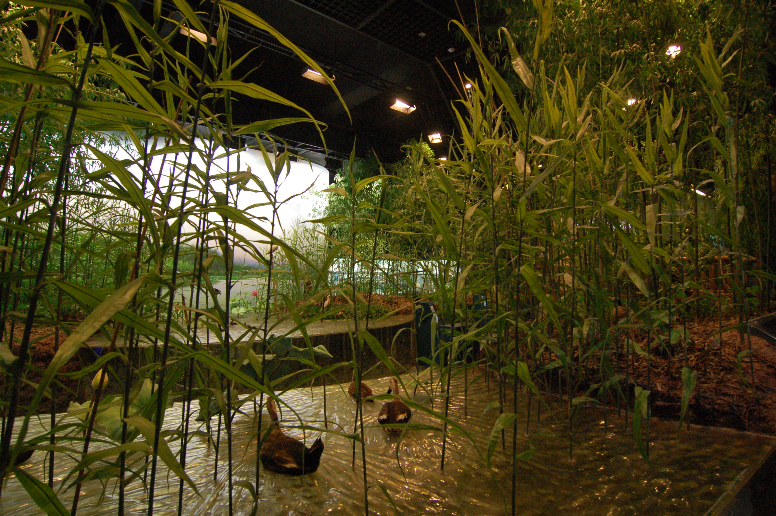 博物馆城市规划馆-15