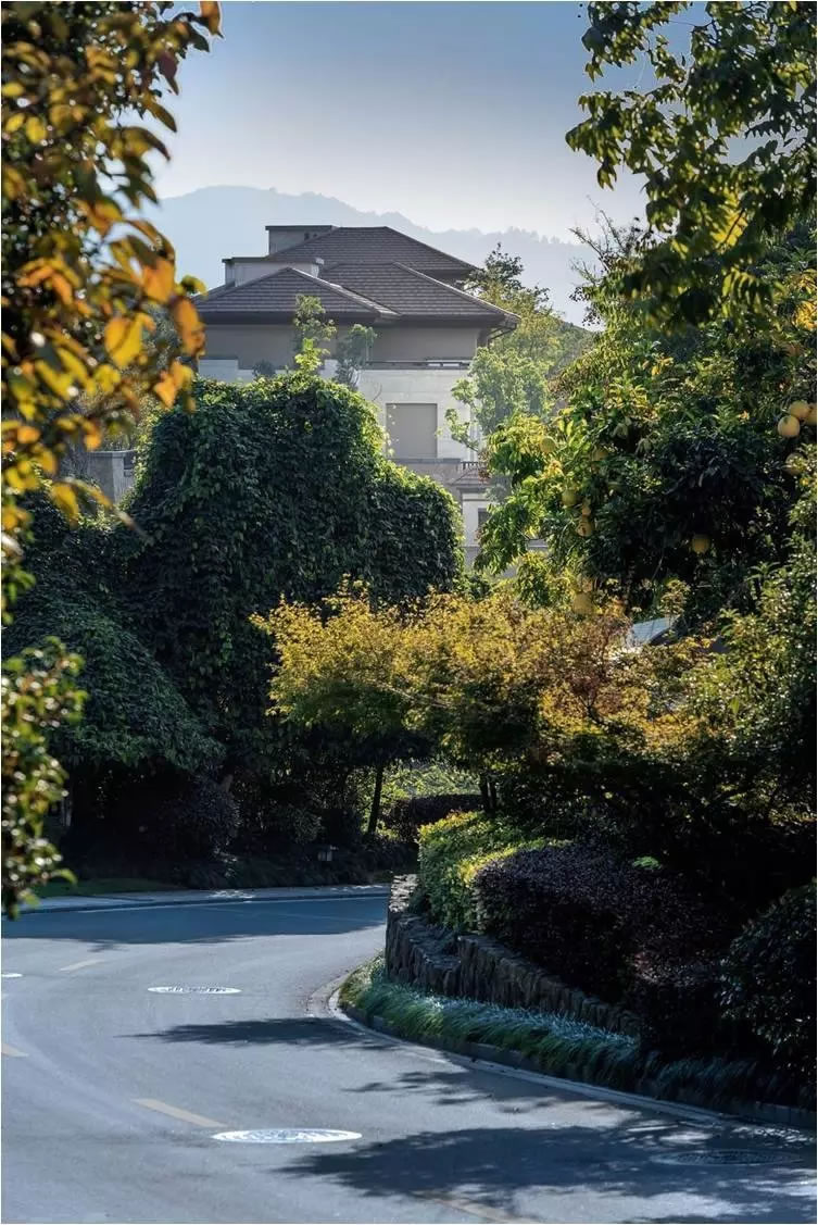 万科·富阳公望森林别墅-48