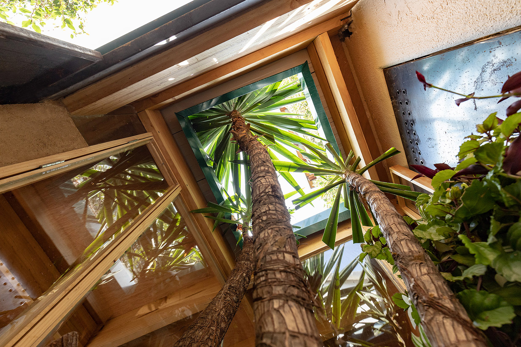 EL RETIRO住宅扩建丨厄瓜多尔丨JAG Studio-53