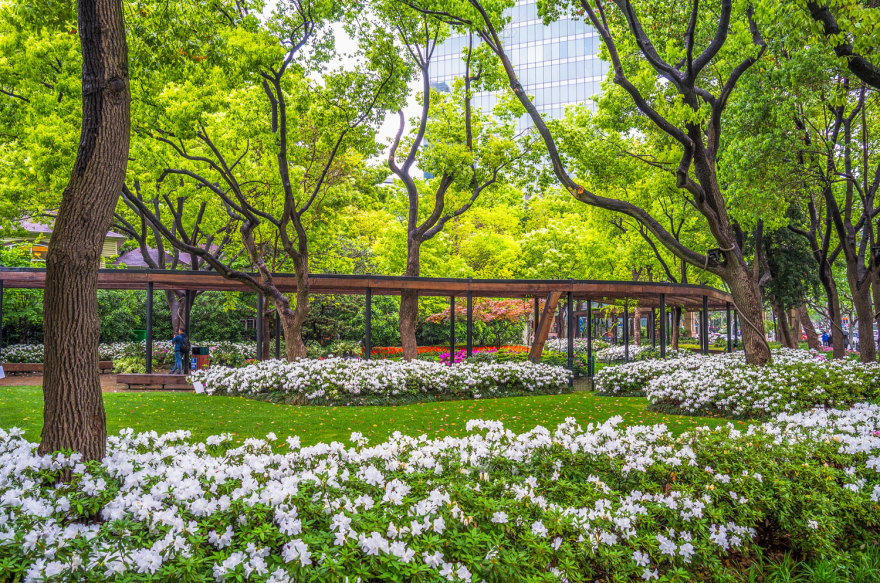 上海东湖社区公园-27