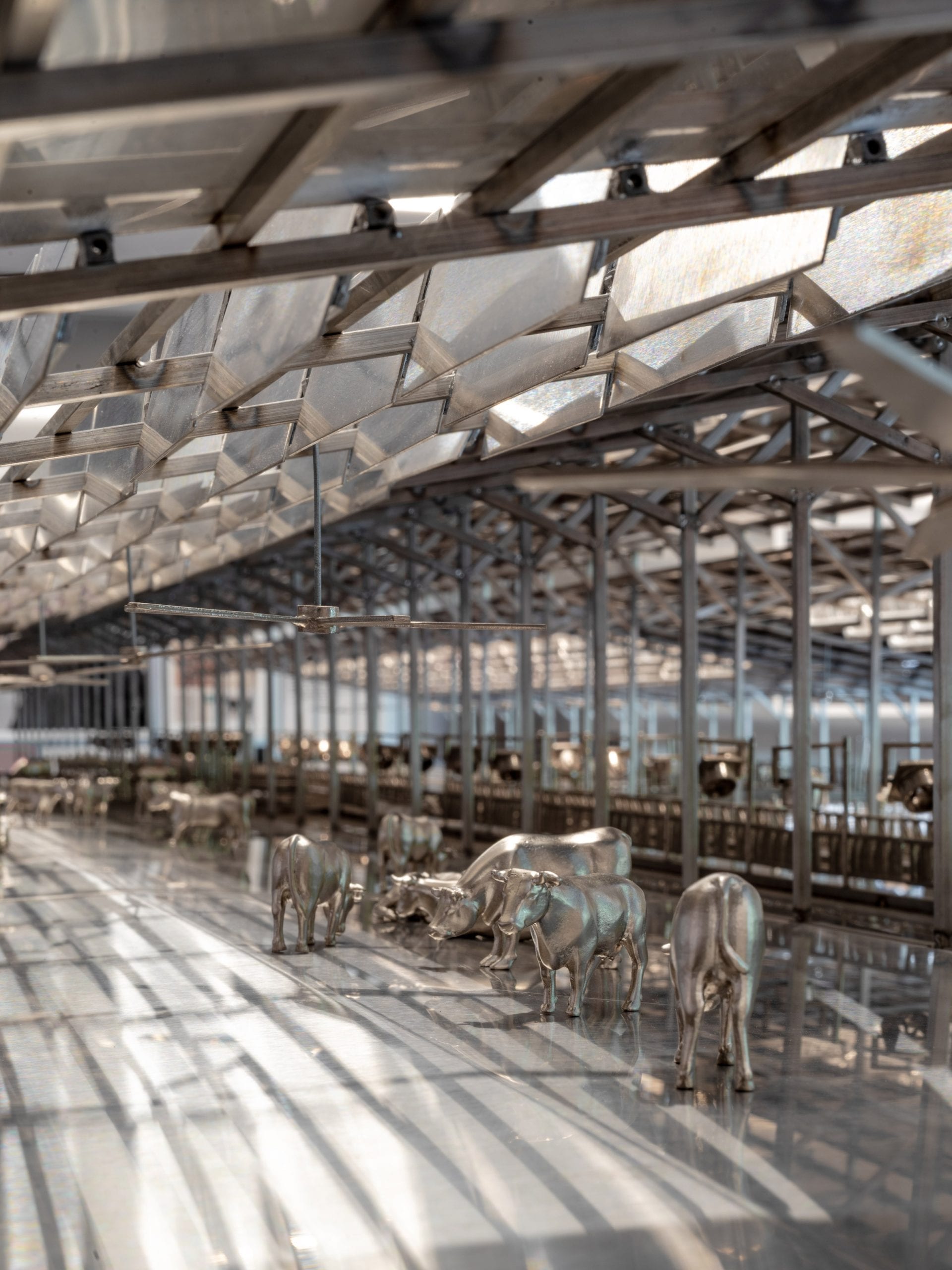 以色列在威尼斯建筑双年展上展示人类骨骼和动物标本-27