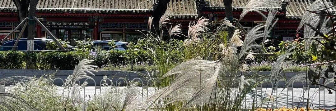 大街上的“薄”与“厚”——西四大街公共环境更新-120