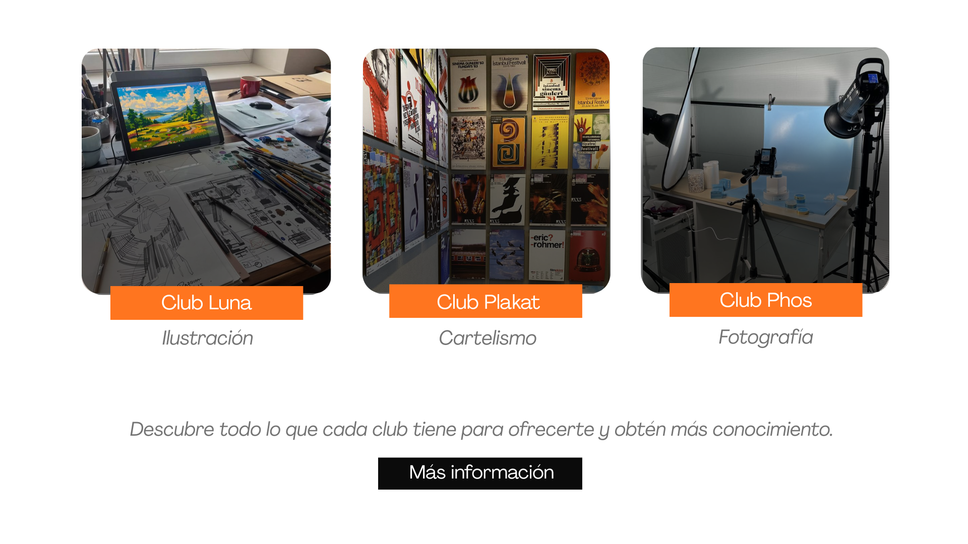 página web-1
