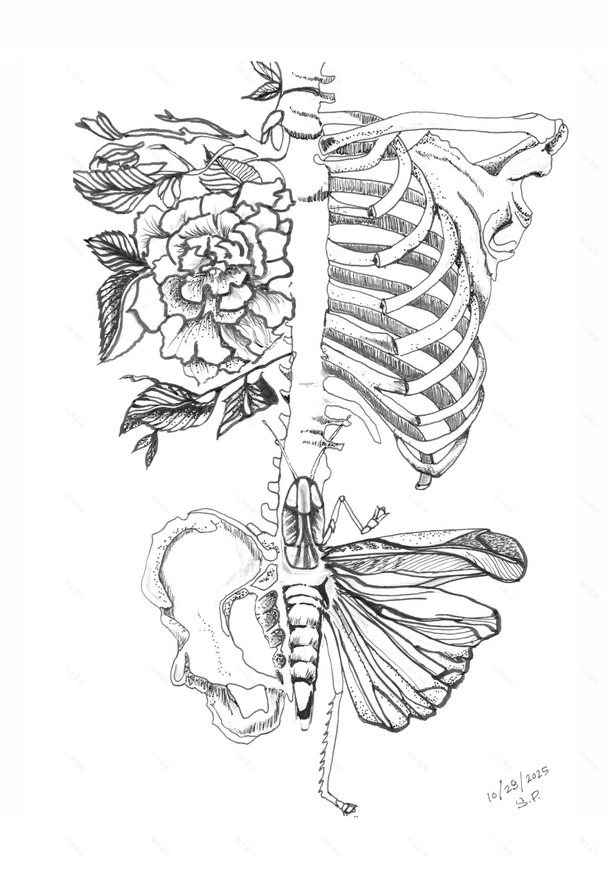 Inktober 2025数字绘画创作-7