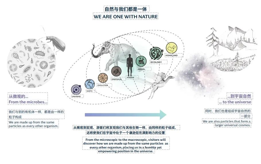 喜报|中标深圳自然博物馆！丝路视觉献礼湾区都市的精诚之作-30