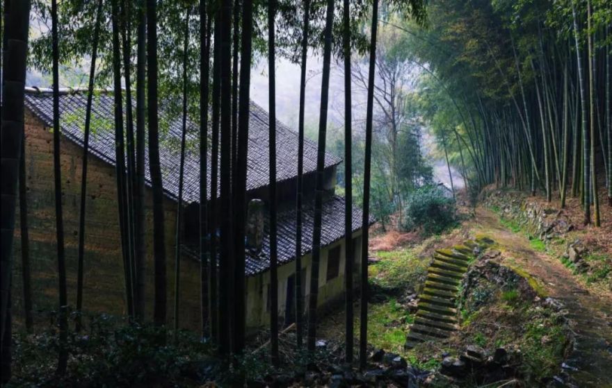 山居岁月 | 与自然共舞的生活美学-18