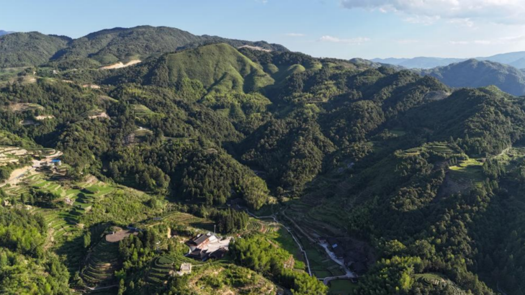 漂亮的农耕文化“翻身仗”!四色展板解码四大主题,齐民要术×共生理念实践:非遗文旅/电商产业链/稻茶观光工厂等构建乡村振兴新模式-261