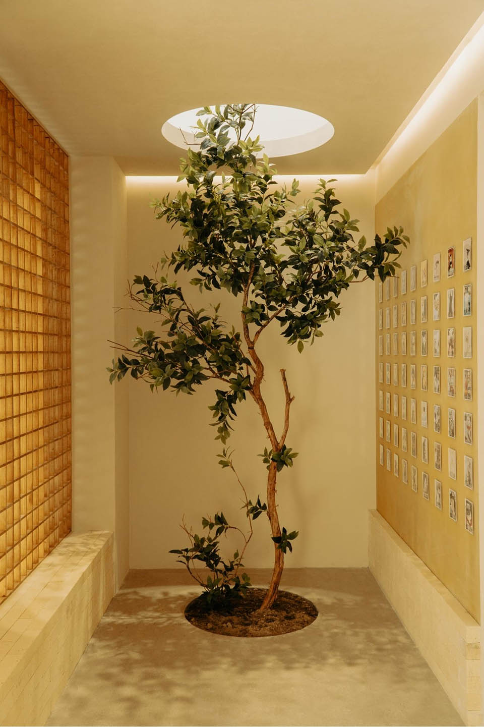 自由之丘丨中国武汉丨EAF Studio-17