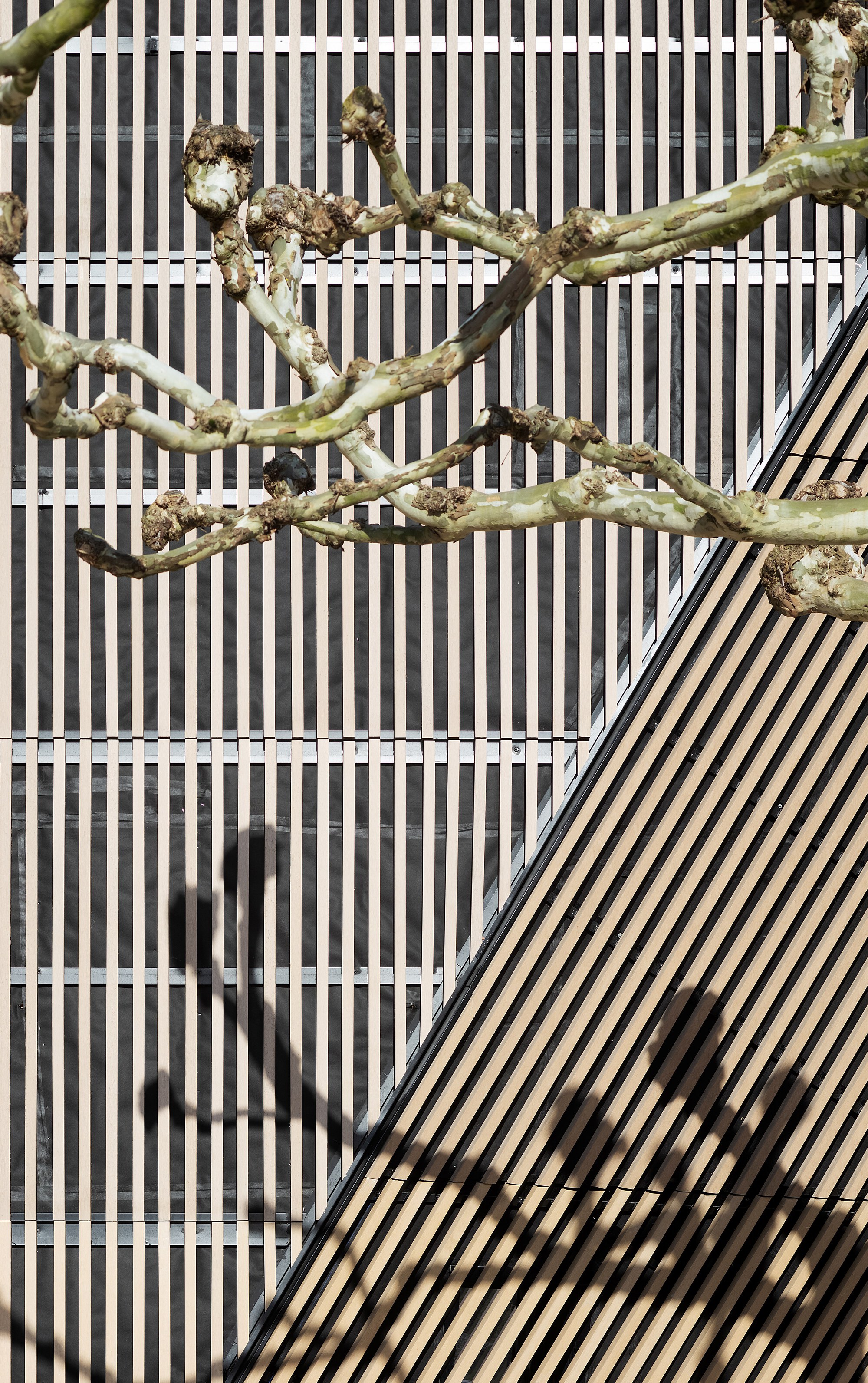 Irura 镇政府大楼改造与扩建丨西班牙丨BARRU ARKITEKTURA SLP-14