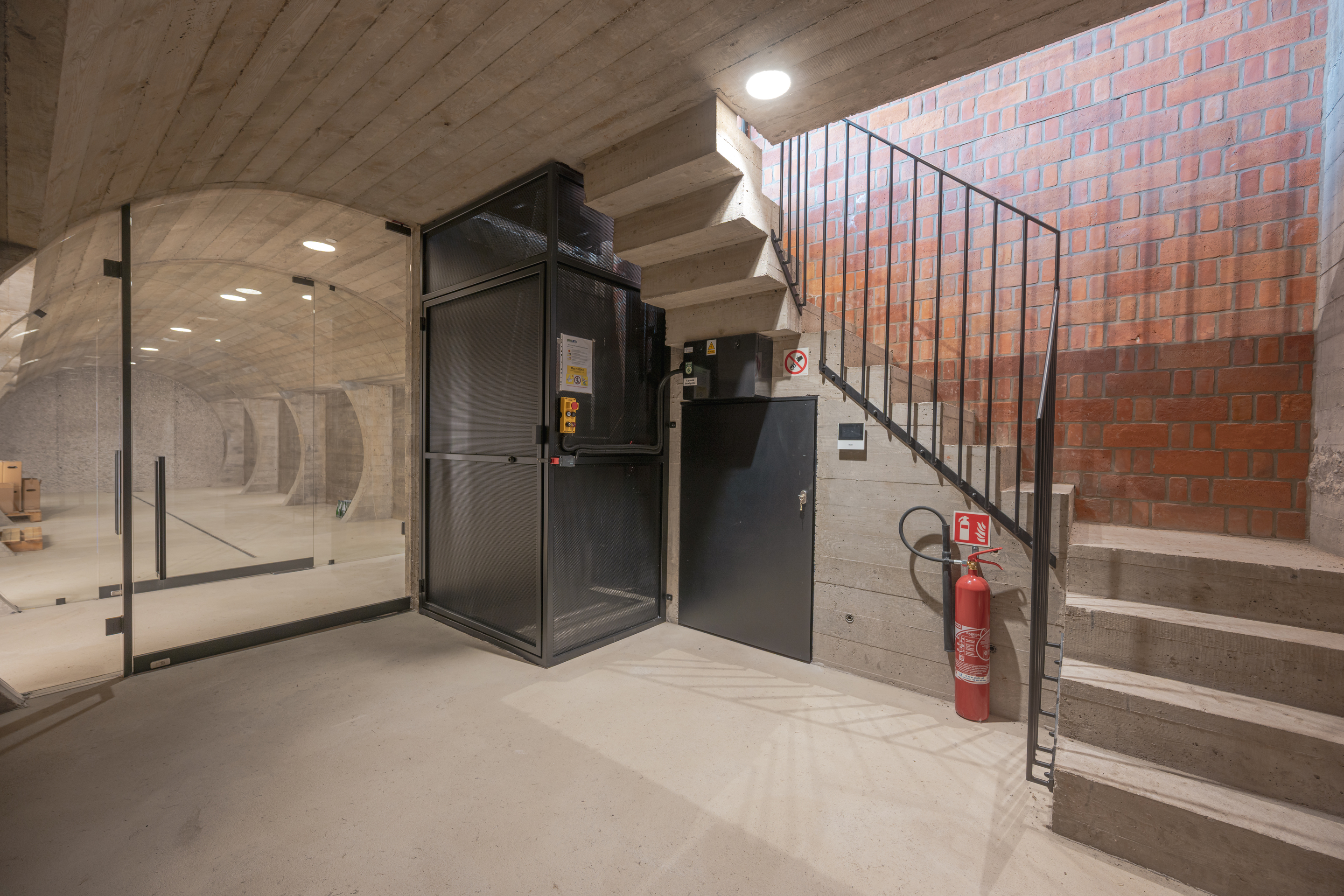 VINEYARD IN DOBRZEŃ MAŁY, POLAND | PORT-18