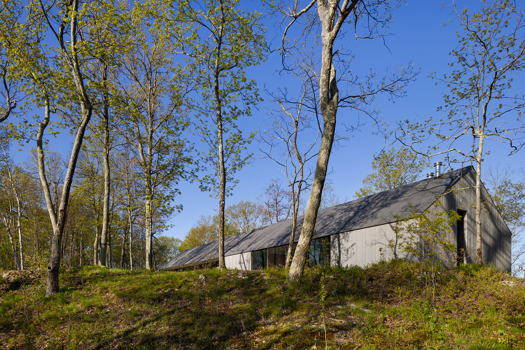 山脊之屋丨哥伦比亚-6