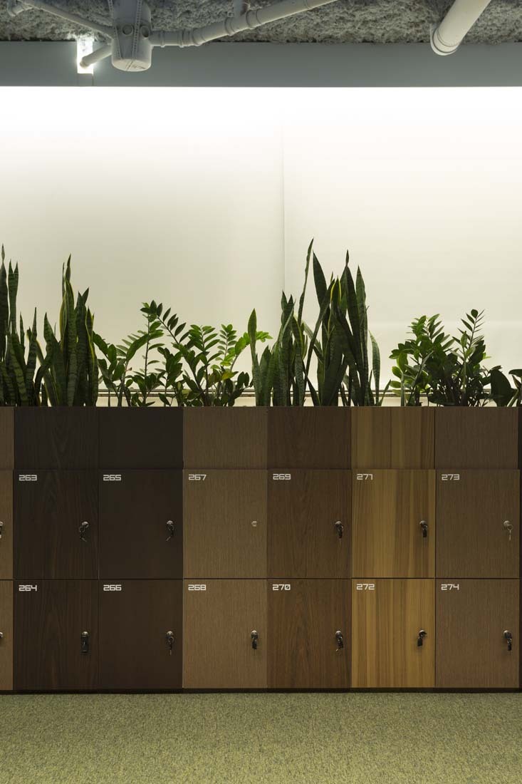 马·米勒斯办公室-16