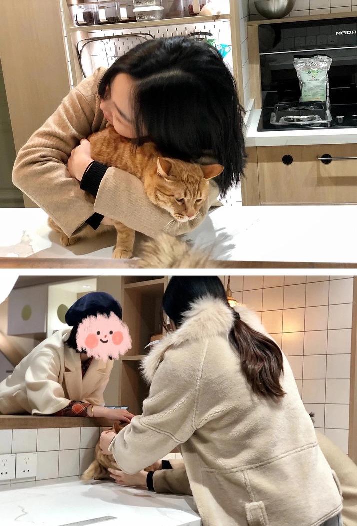 喵星人的温馨家园丨中国重庆丨不详-22