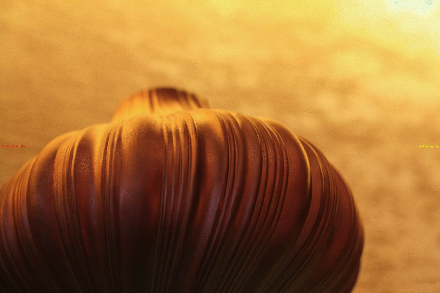 后现代 上海上海浦东汤臣一品（梁志天）-15