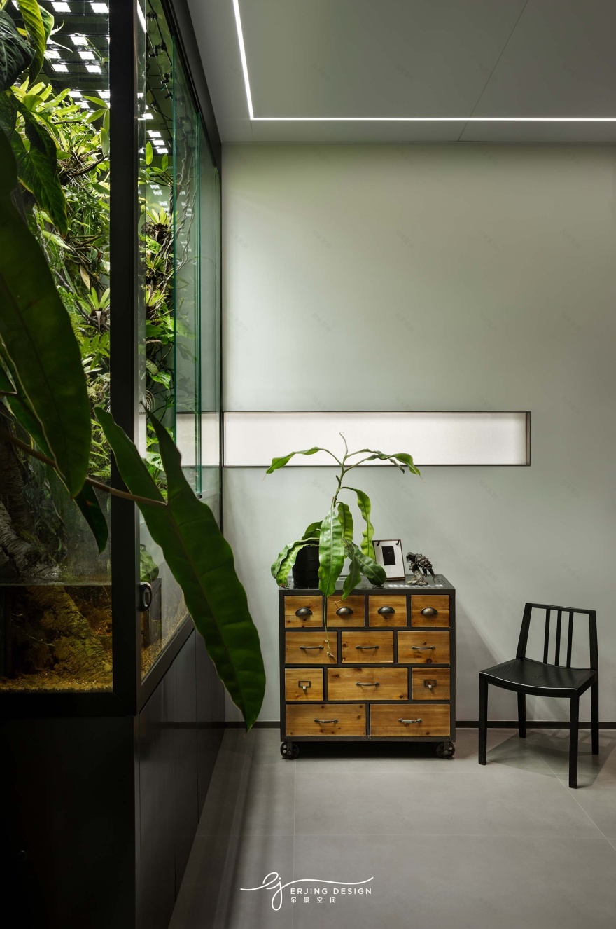 爬宠店·Sign Of Gecko丨中国杭州丨尔景空间设计-39