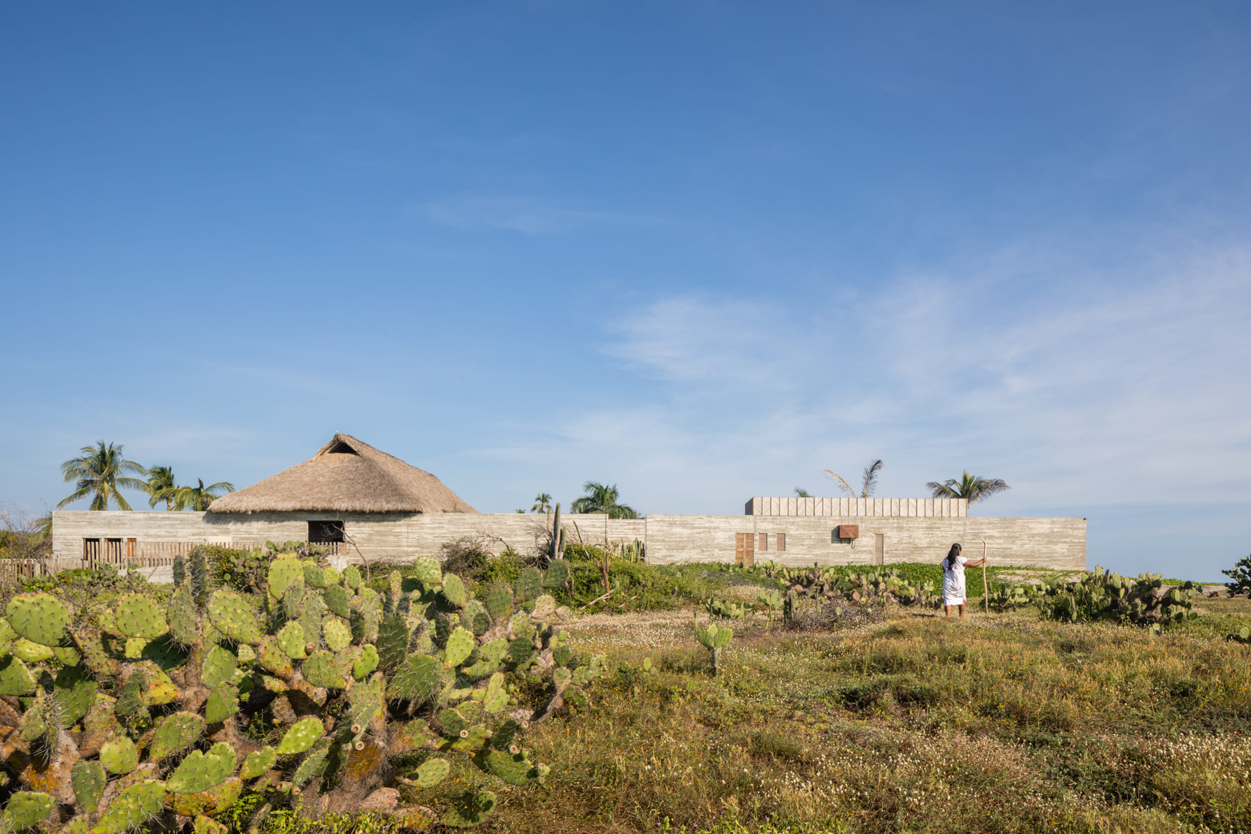 科瓦之家丨墨西哥丨anonimous_mx-28