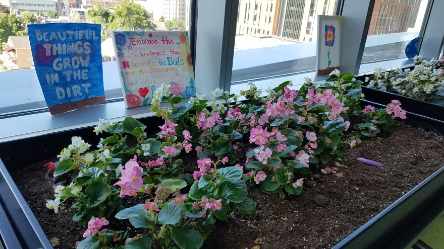 冬季花园丨design synergies architecture pc-13