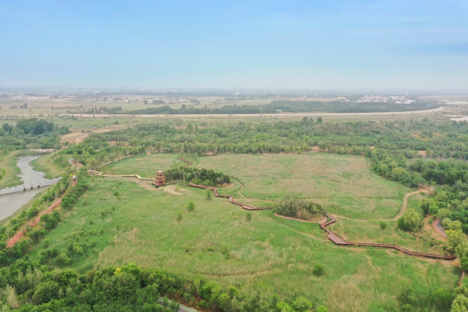 芦苇廊,观鸟屋等·邢襄生态园景观建筑系列丨中国河北丨北林风景建筑研究中心  段威工作室,上海领沃园林设计事务所  李工作室-19