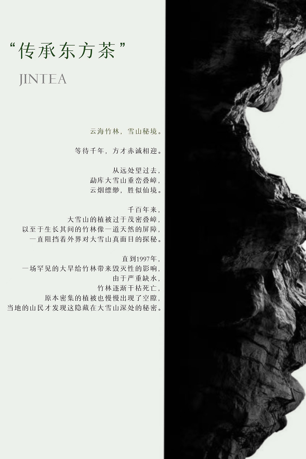 JIN TEA 津乔茶丨Aurora Design 艾洛设计-2