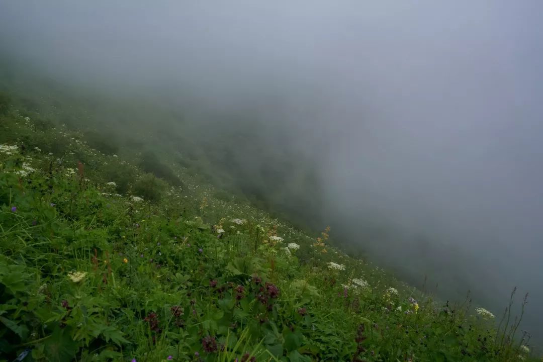 乐梵乐游阿坝徒步团建——挑战与互助的旅程-73