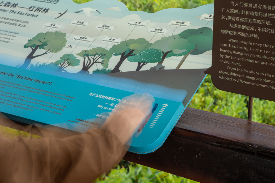 深圳红树林生态公园户外科普互动导视设计丨中国深圳丨共生领域(北京)文化传媒有限公司-32