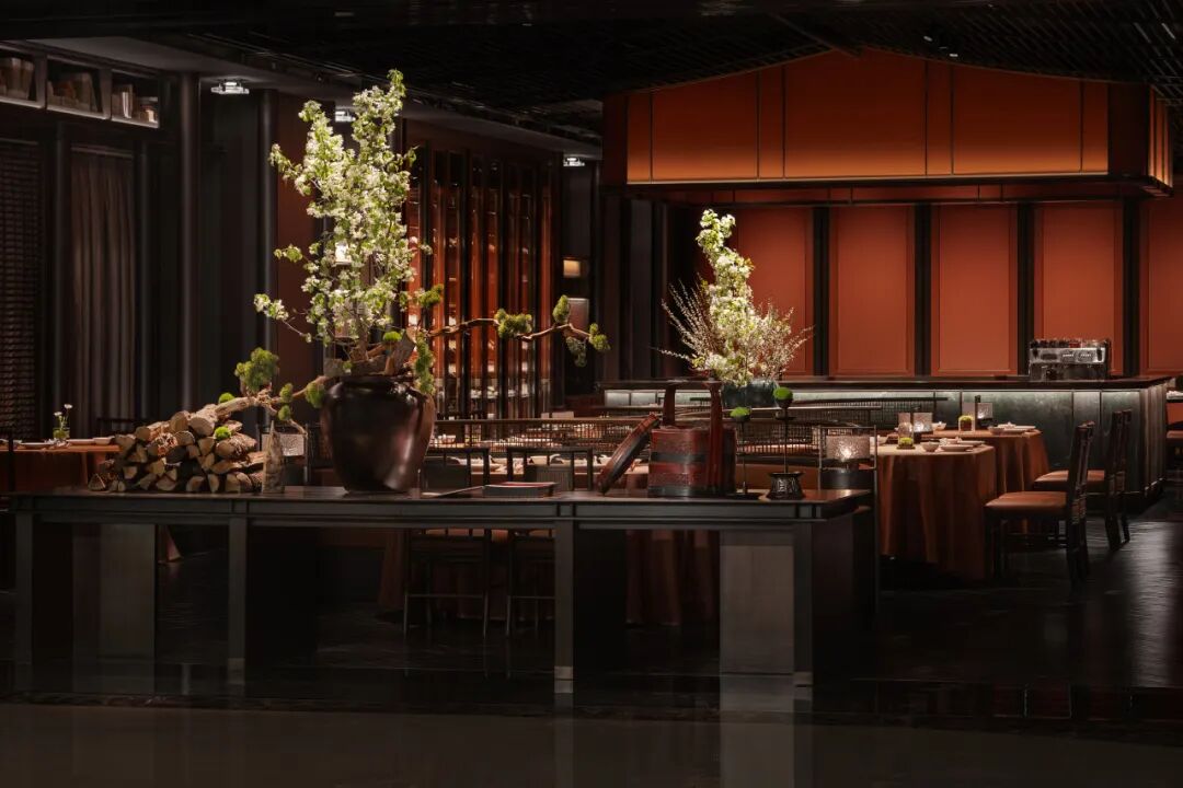 荣誉|栋三尺设计斩获2025德国IF设计奖-18