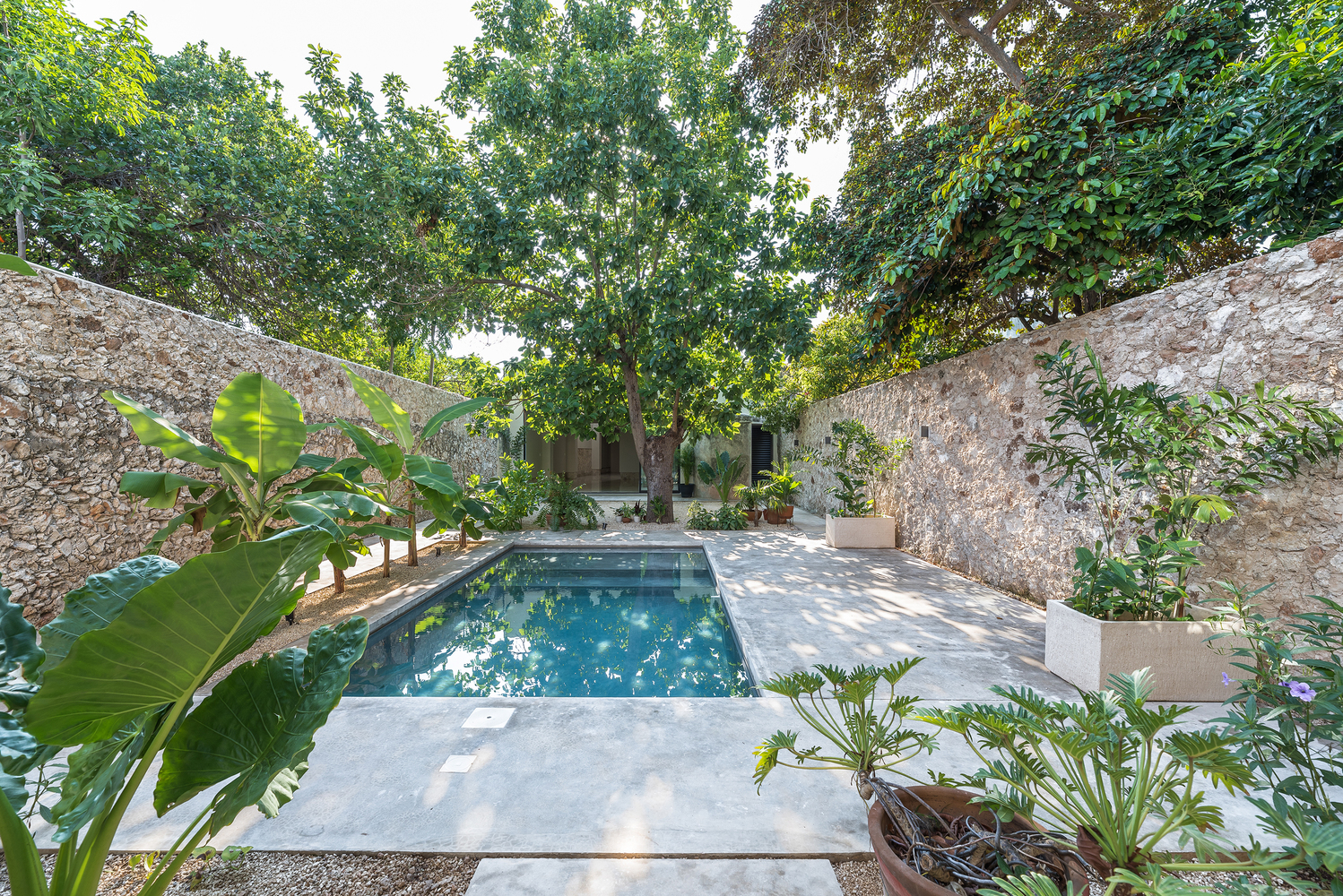 墨西哥 50 年代住宅的现代翻新-59