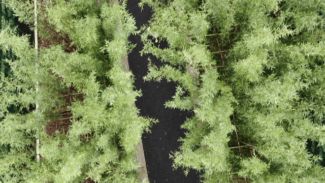 上海崇明海和院售楼处 | 自然生态与现代设计的完美融合-7