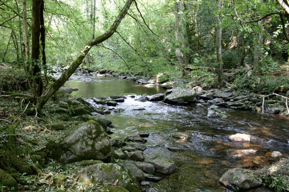 Flaujac  Espalion景观观察项目-49