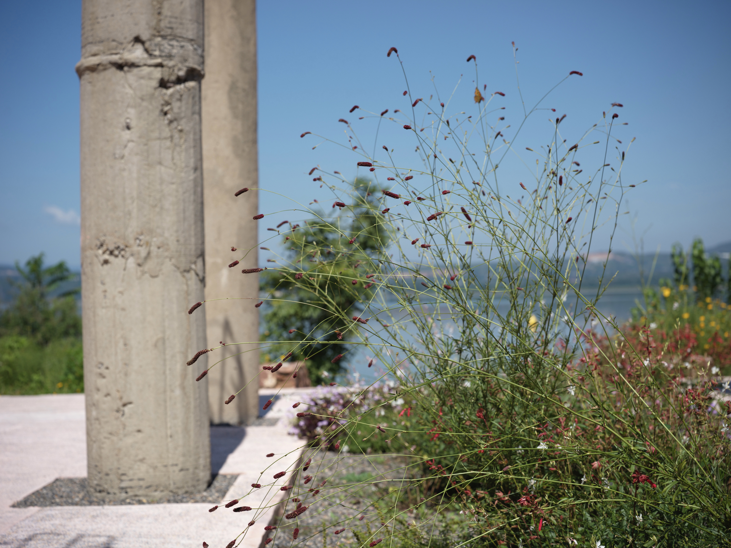 谷堆白沙 一期 景观丨中国白沙丨boll是园-100