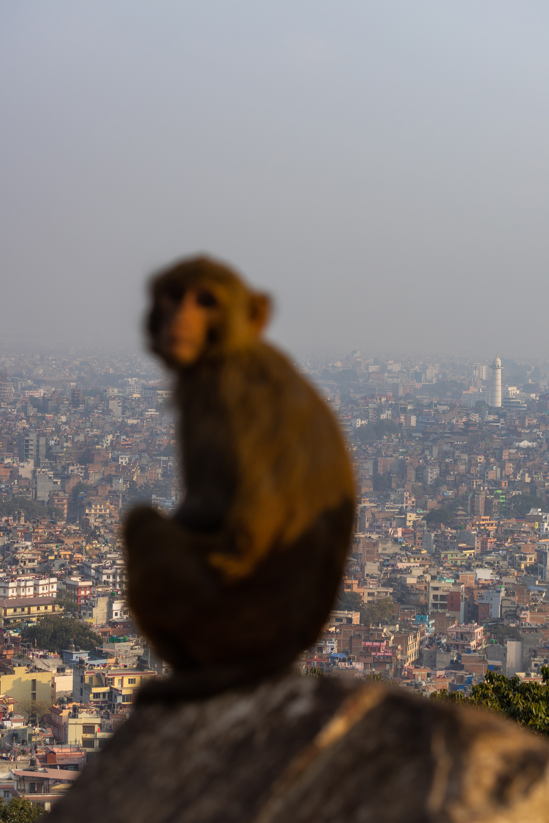 加德满都及周边地区丨尼泊尔丨KIRILL TSYBENKO-25