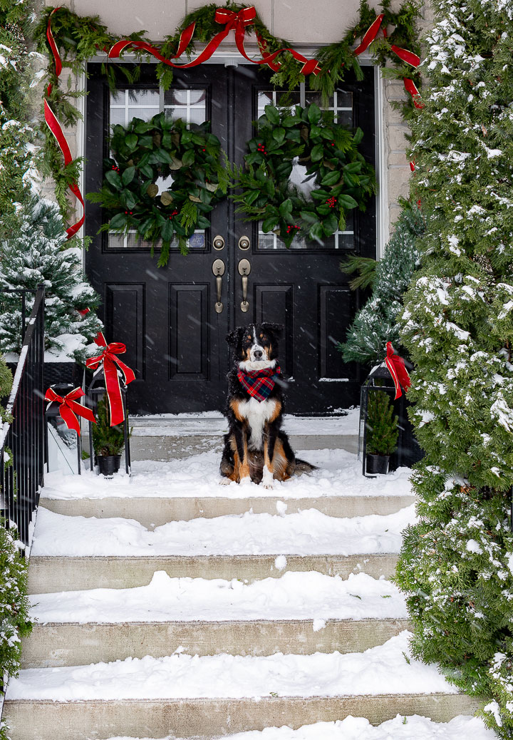 美式家居经典圣诞风 | 布满拼接图案的室内设计-2