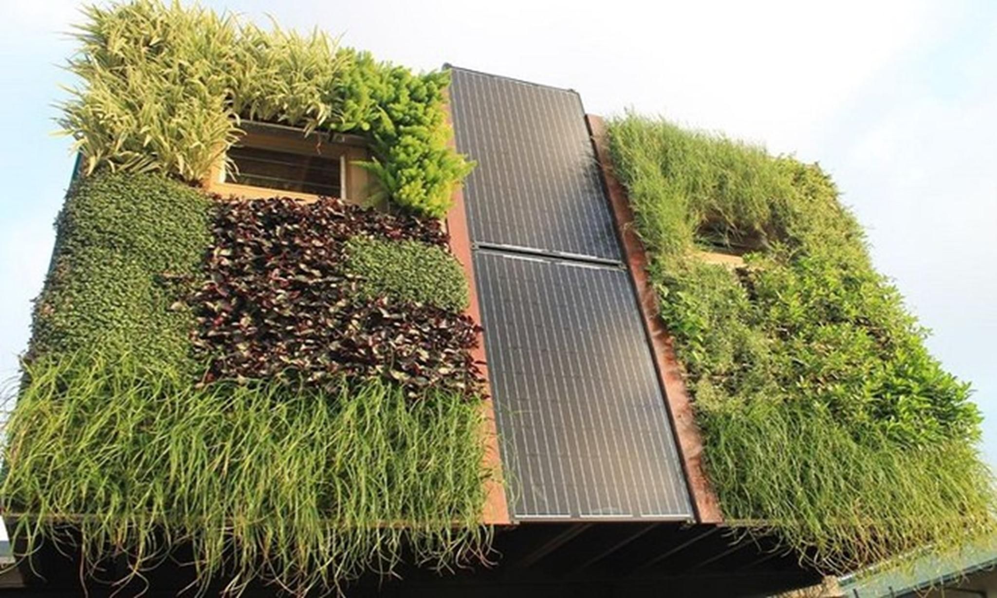 夏威夷创意“树屋”设计，绿意盎然-5