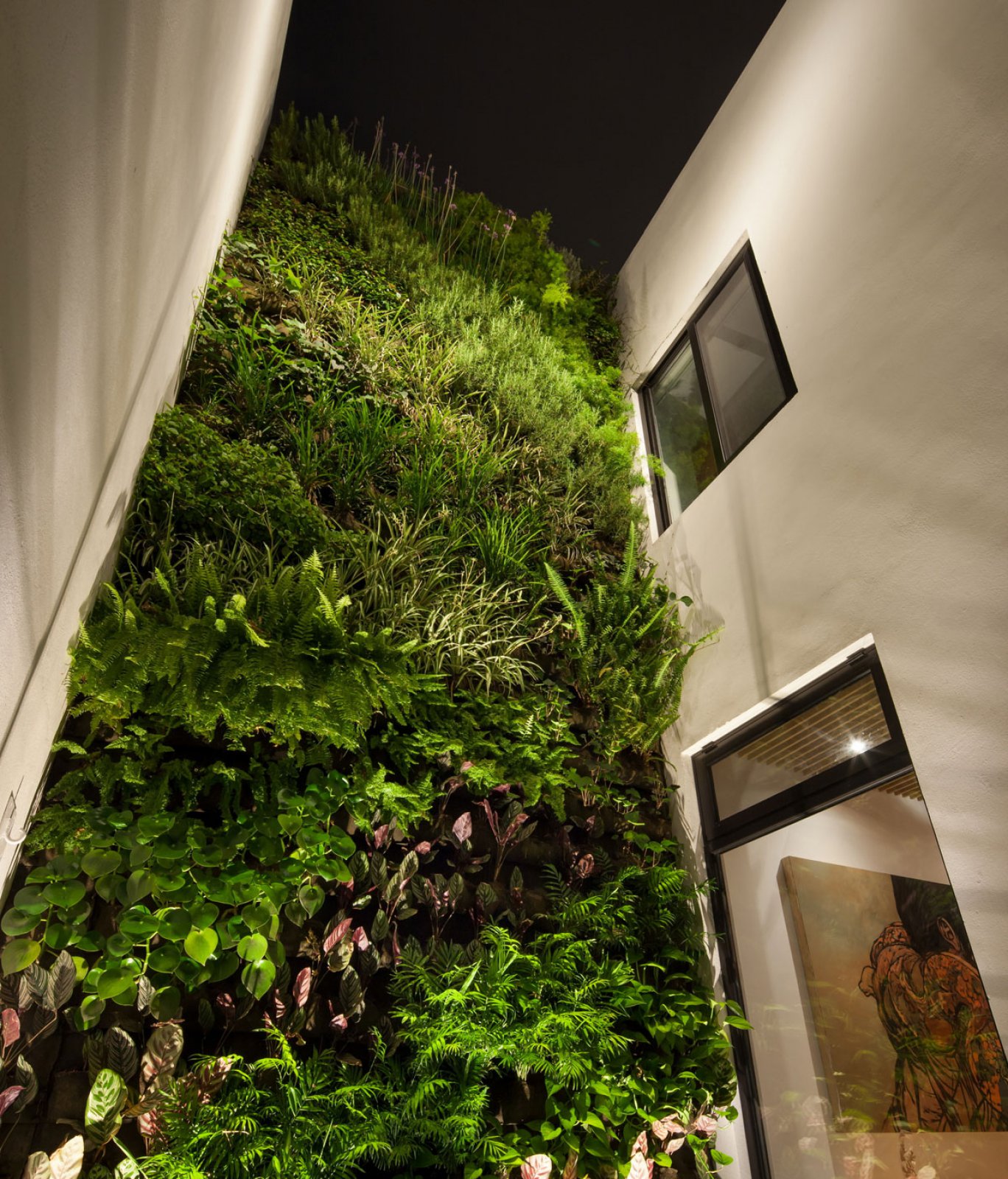 高明住宅——墨西哥的富豪别墅-23