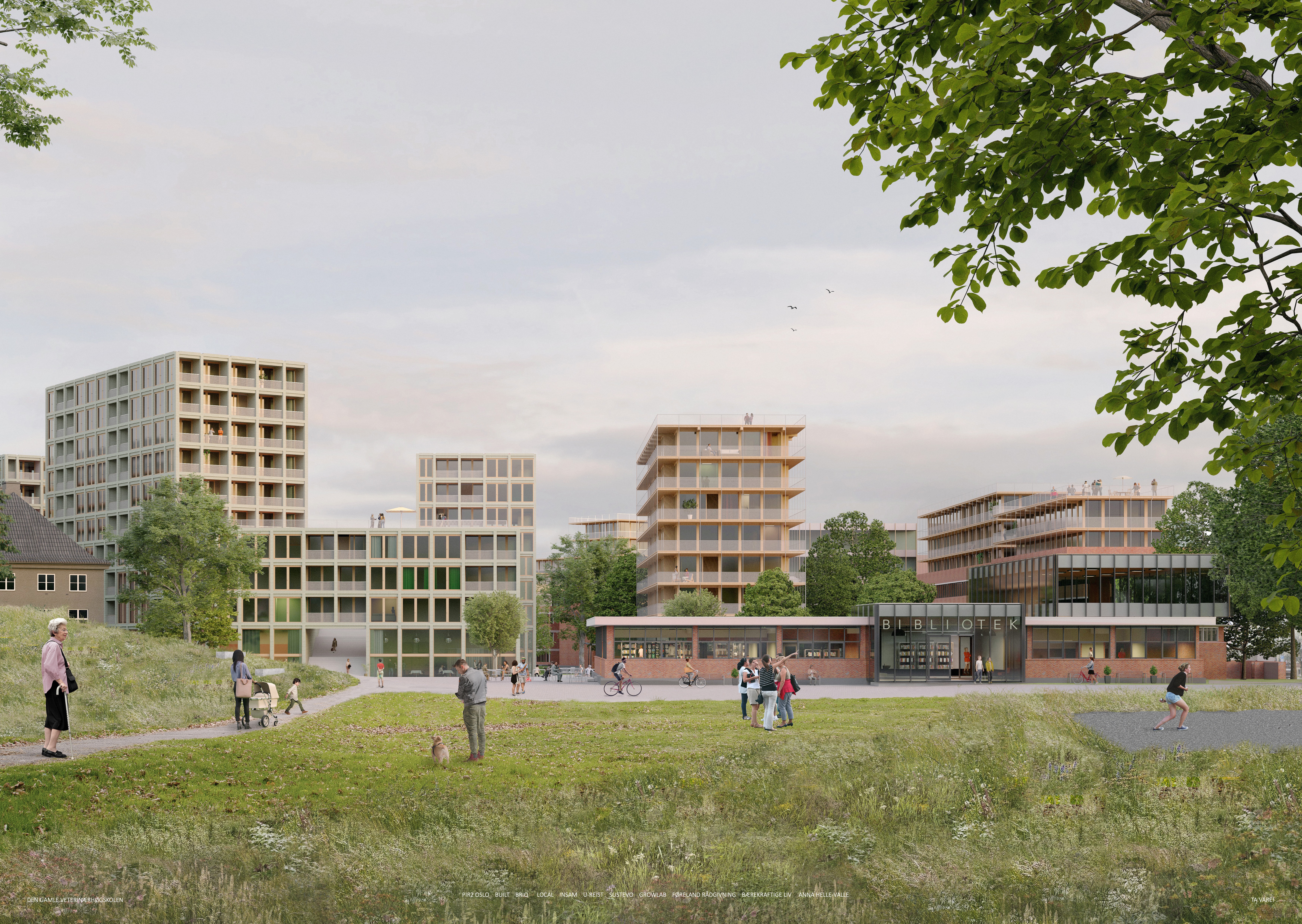 老兽医高等学校平行项目丨挪威丨Pir2团队,A  lab团队,Reiulf Ramstad和LPO-32