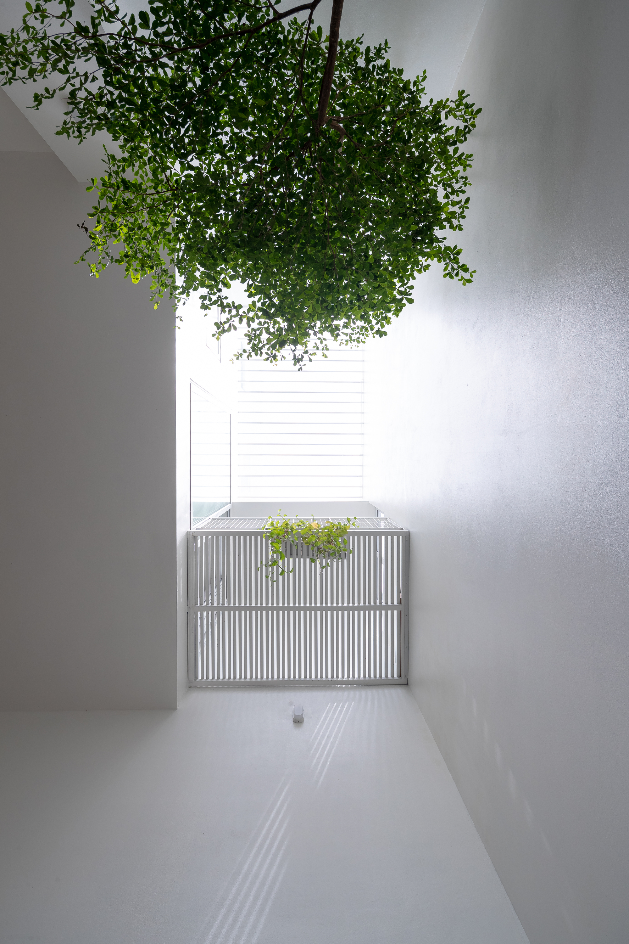 HH 住宅丨越南丨Flat6 architects,aestudiooo-28