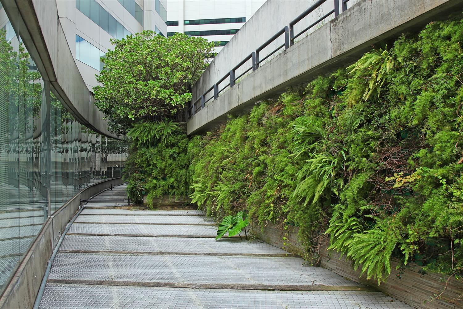 Itaú Conceição 商业中心景观设计-12