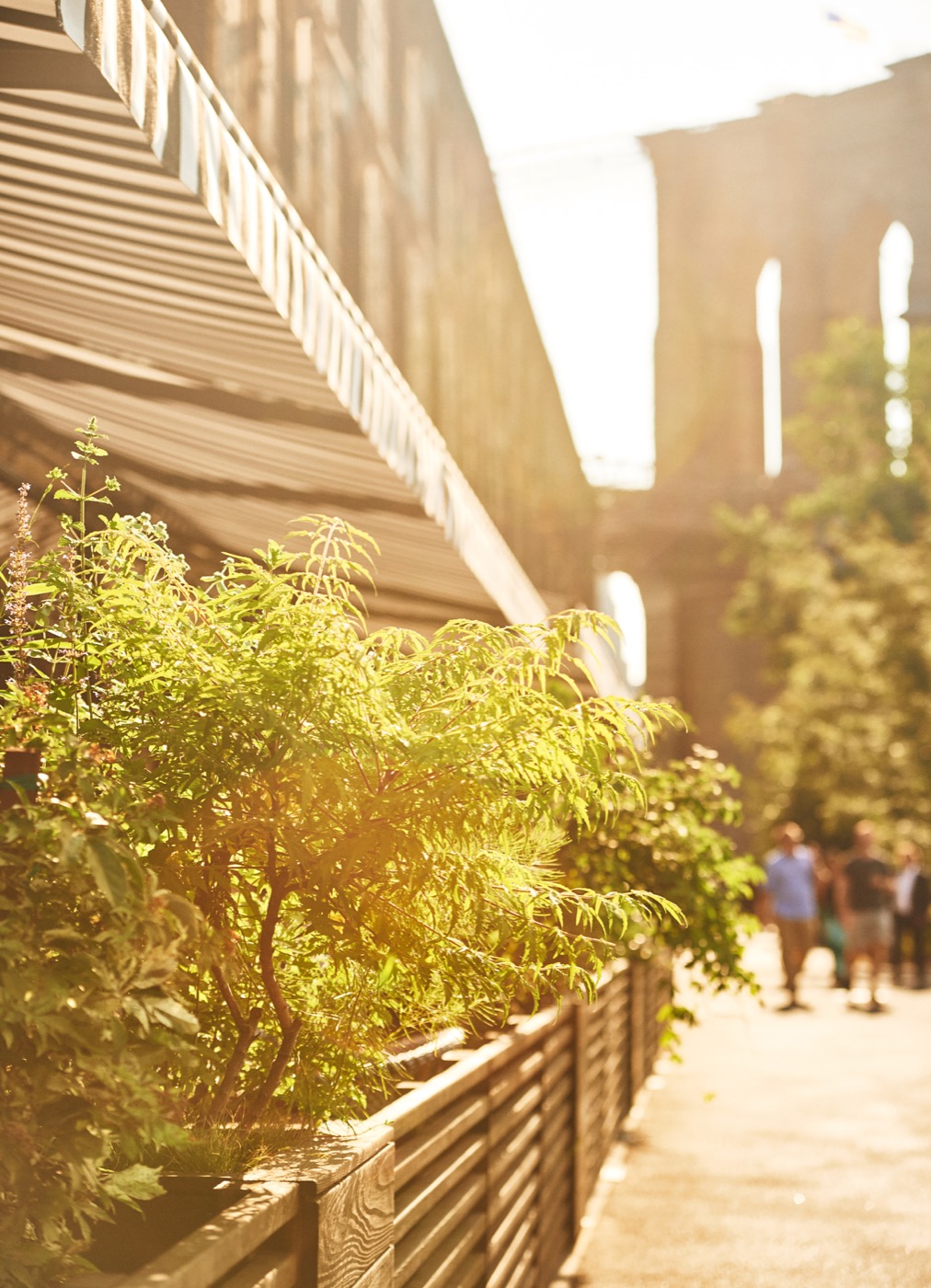 纽约布鲁克林大桥公园 Empire Stores 改造丨美国纽约丨Future Green-6