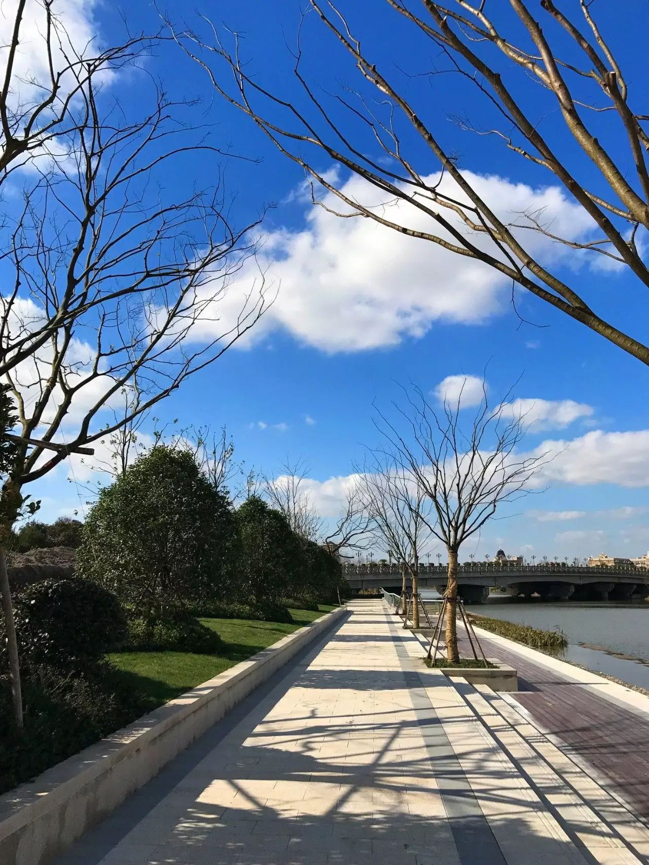 YB. GROUP ♦ 崇明岛-朱雀河公共滨水绿廊-57