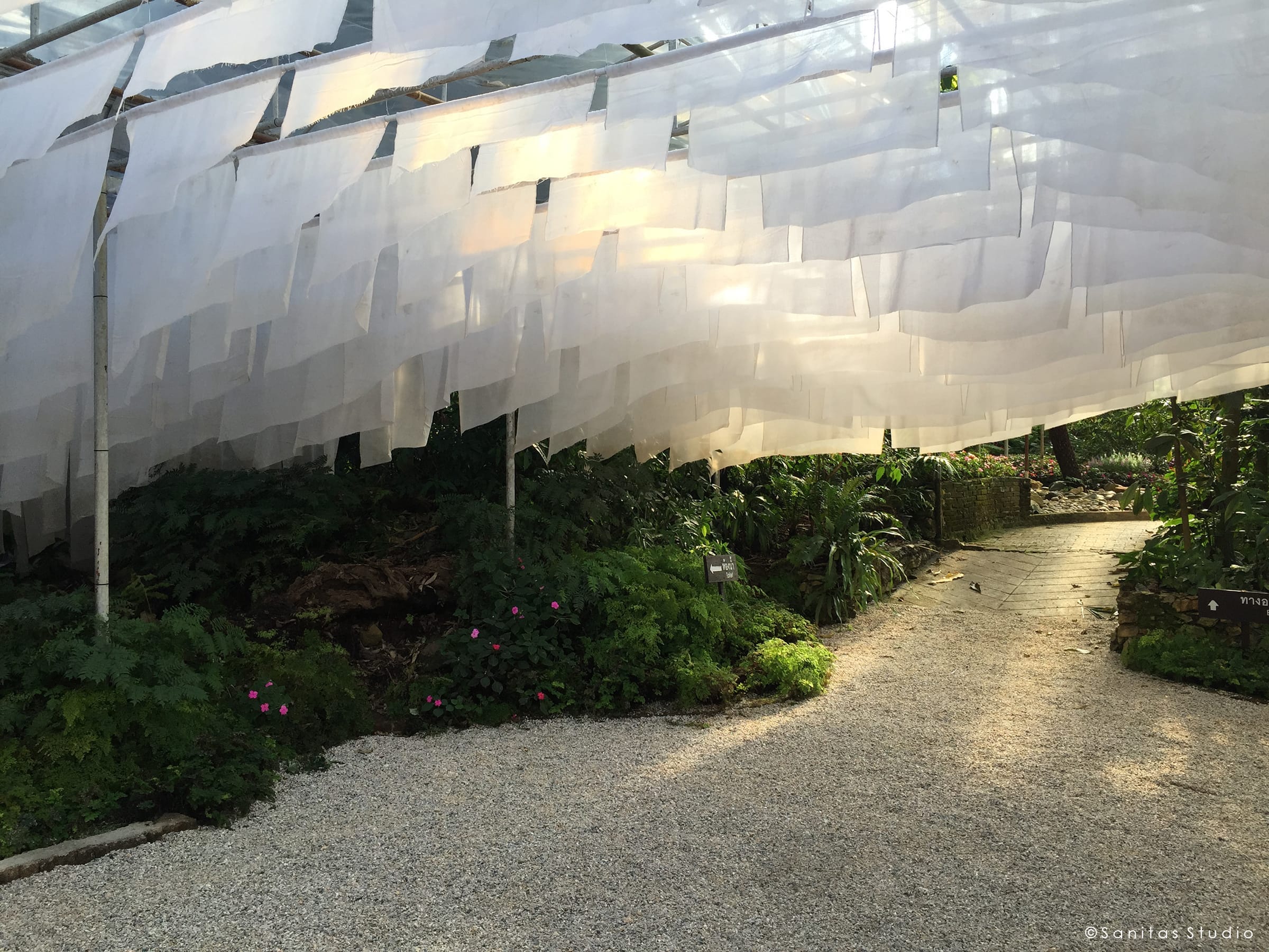 在山中,萨尼塔斯工作室-18