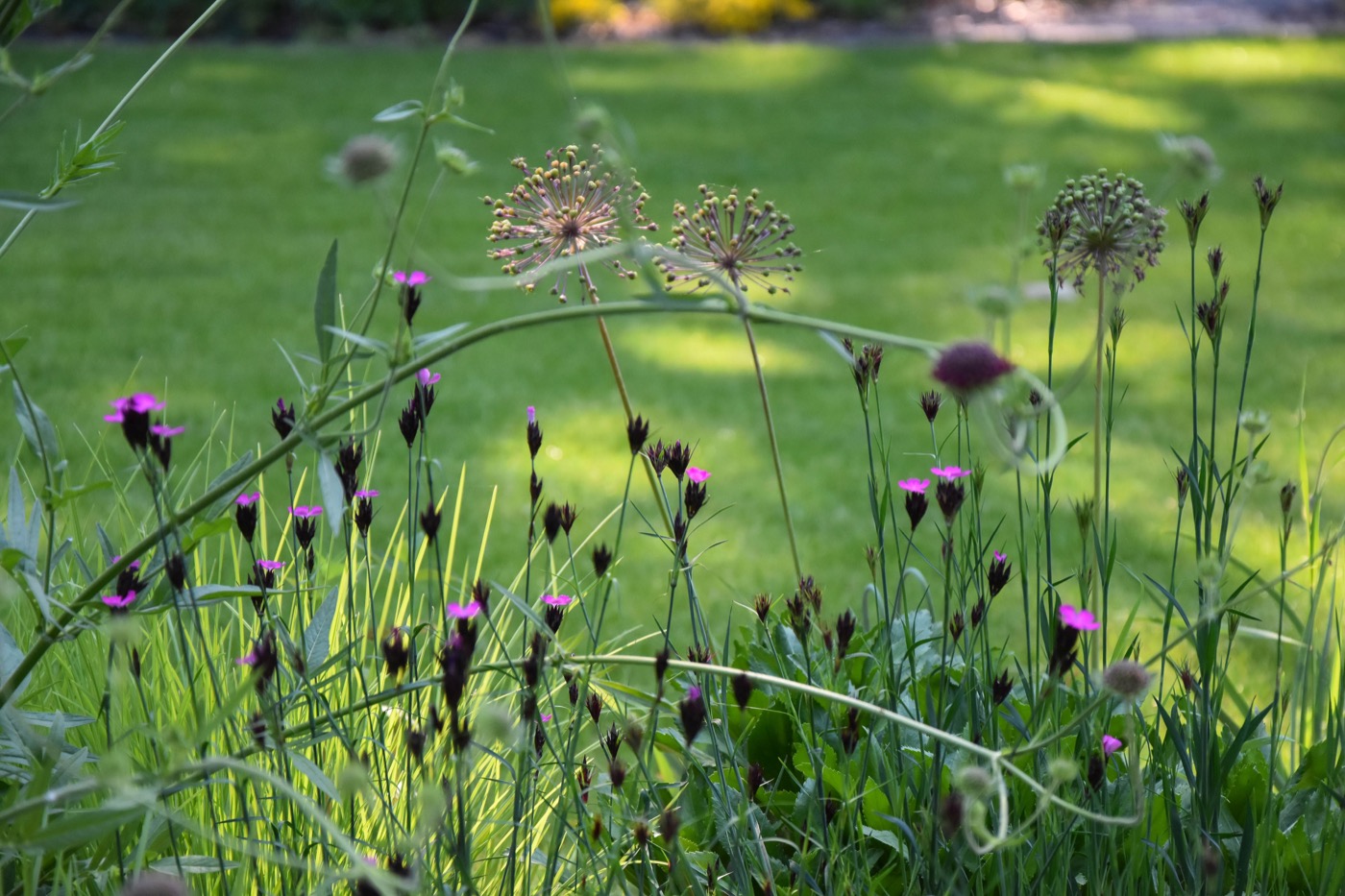 自然之境 · 现代乡村家庭花园-14