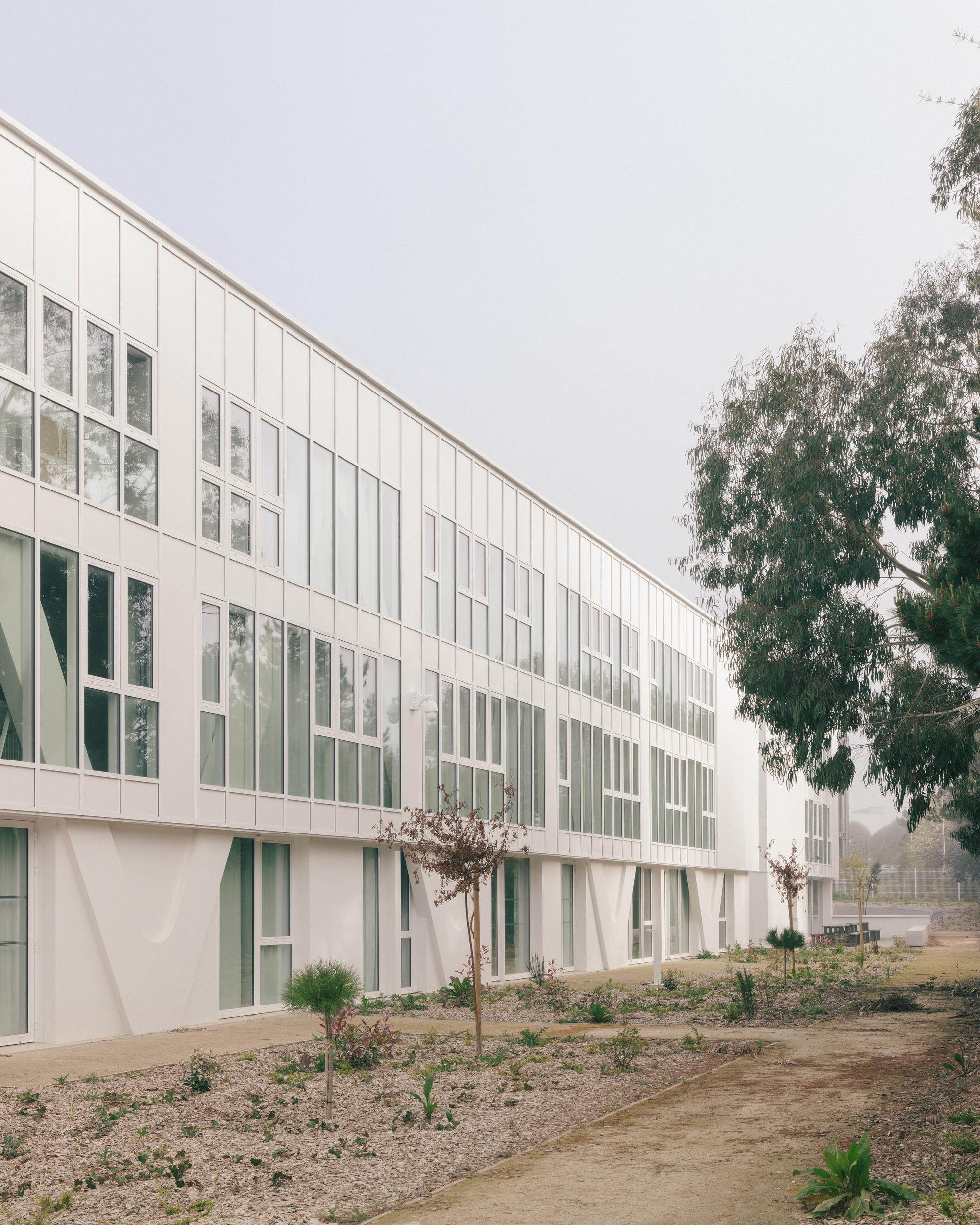 普罗维登斯高中，阿尔塔丨法国-37