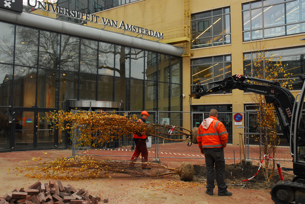 Roeterseiland,阿姆斯特丹大学景观设计丨荷兰阿姆斯特丹-40