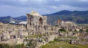 Volubilis as you have never seen it-5