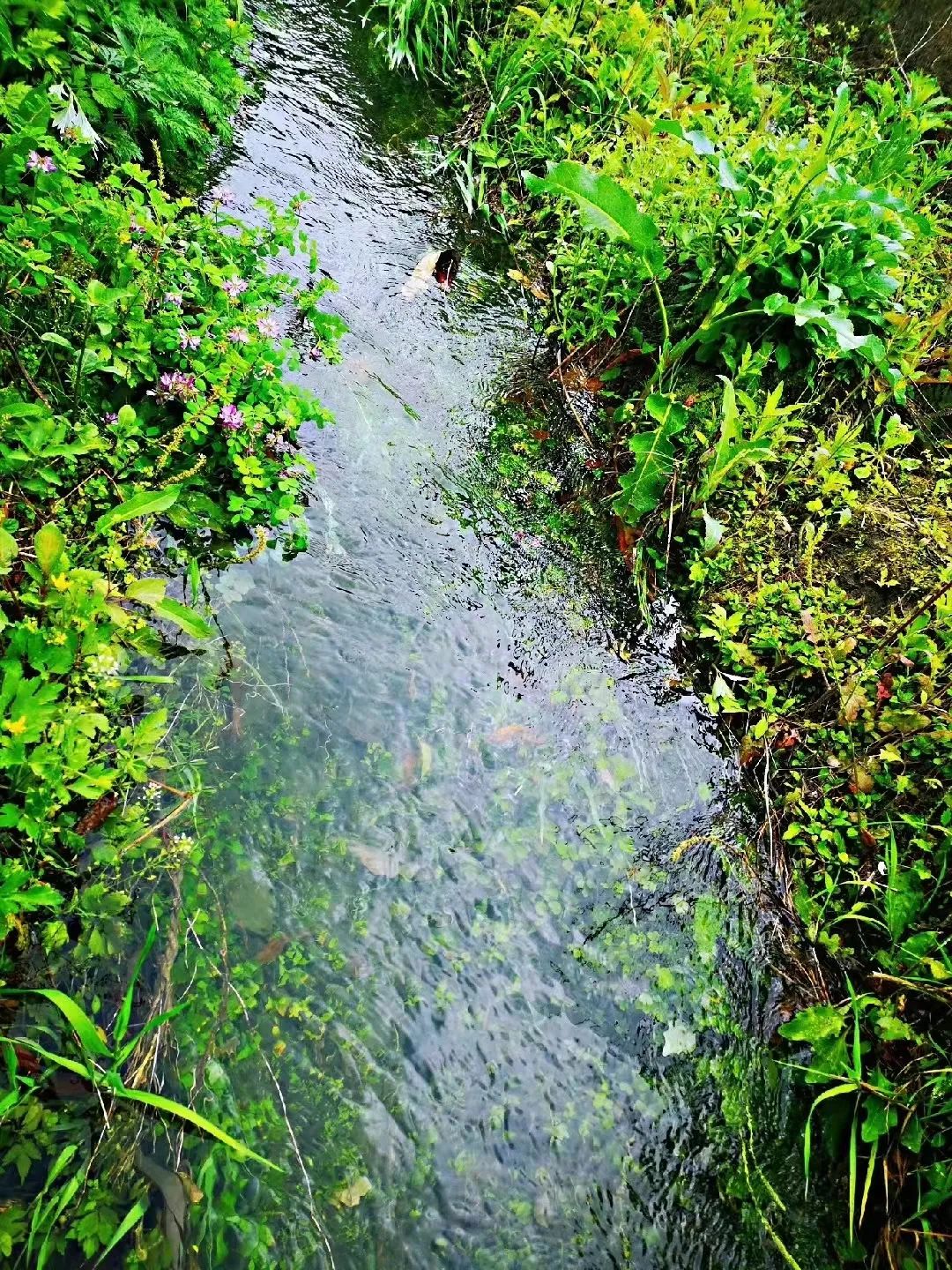 天府水岛林盘依田桃源丨中国成都丨梦景未来DDM-47