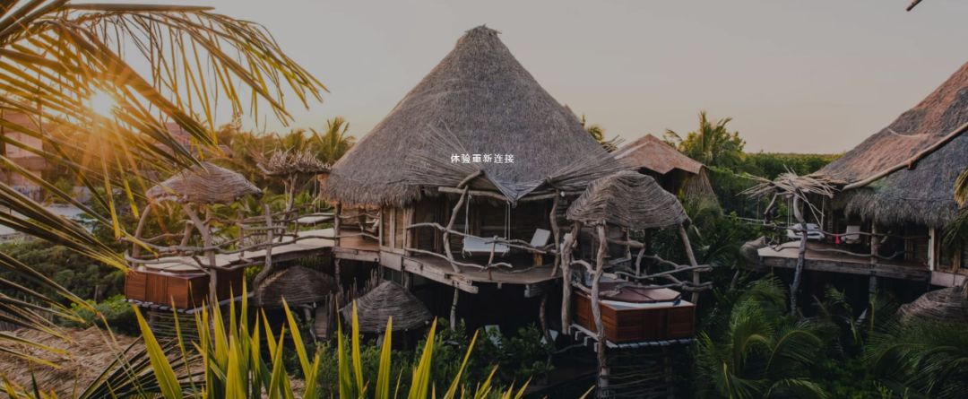 自然绿++ 白色，打造奢华空间设计-68