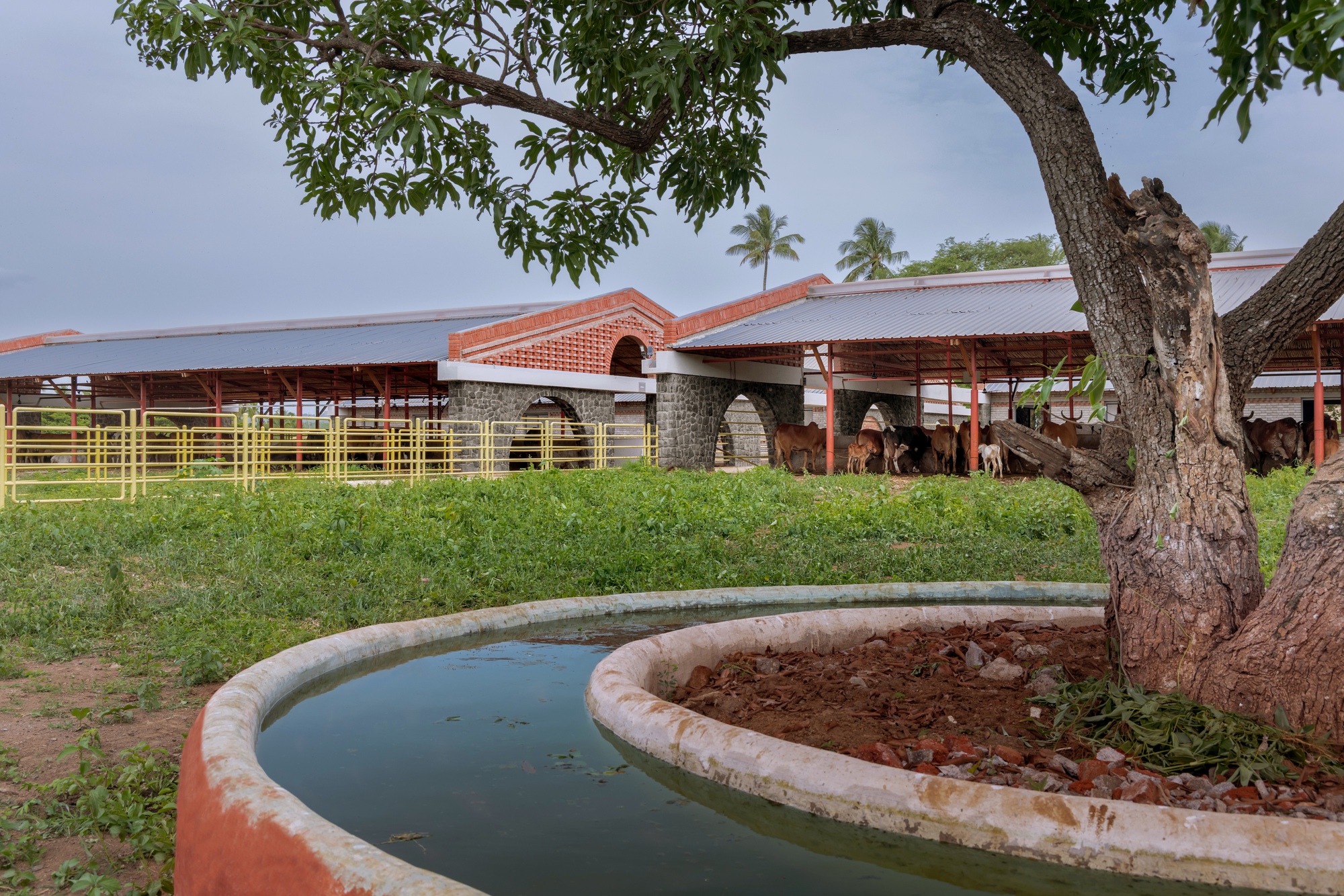 高哈尔畜牧业丨印度丨Compartment S4-40