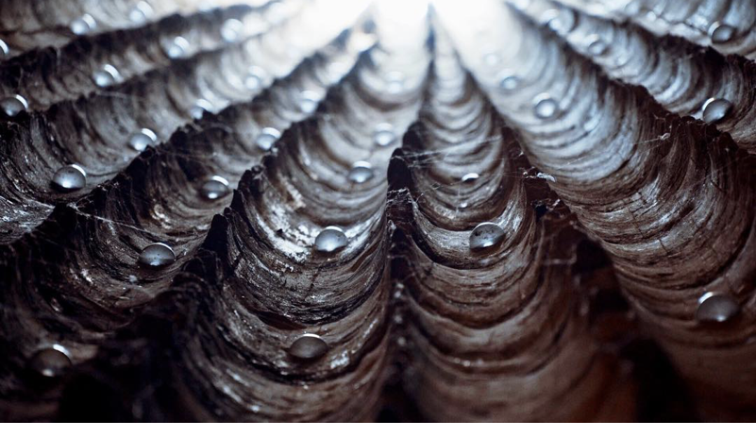 克劳斯兄弟田野教堂-48