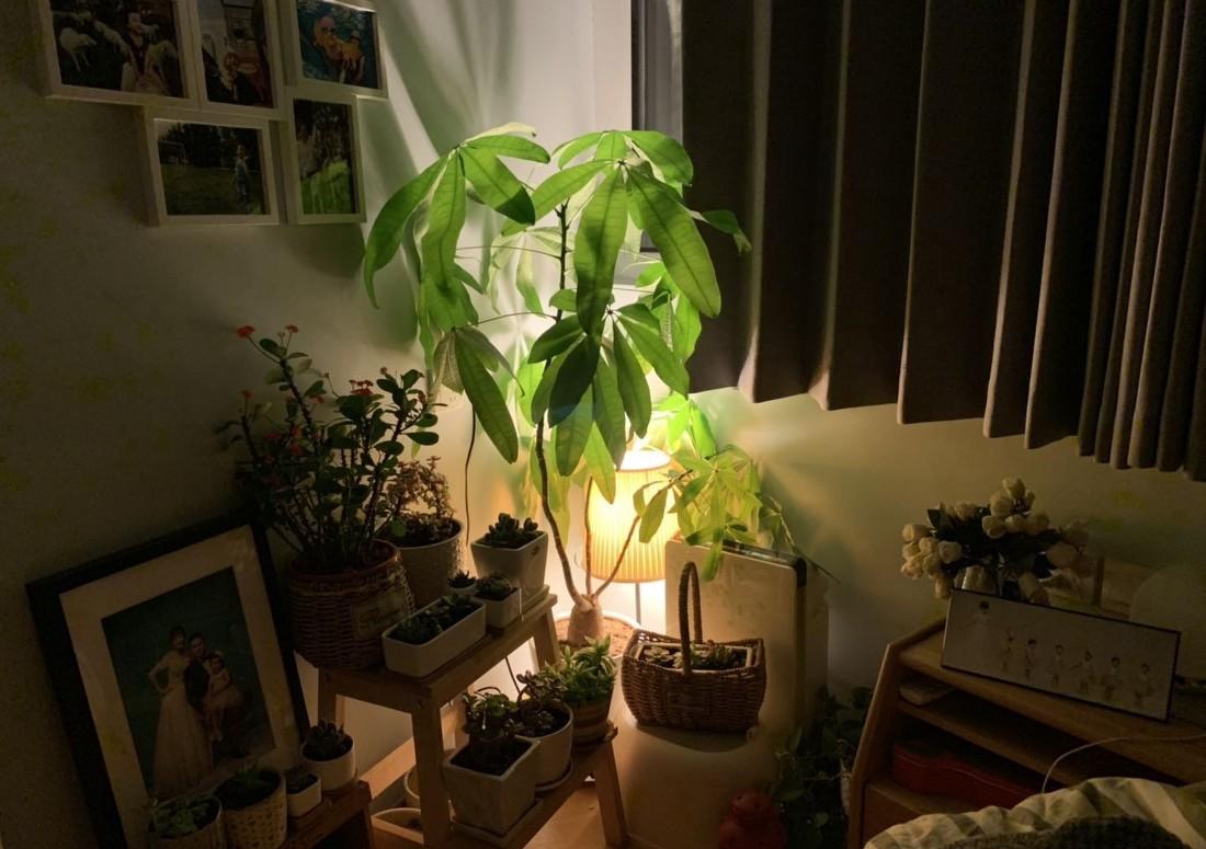 40㎡老破小三代人居住空间改造丨中国北京-37