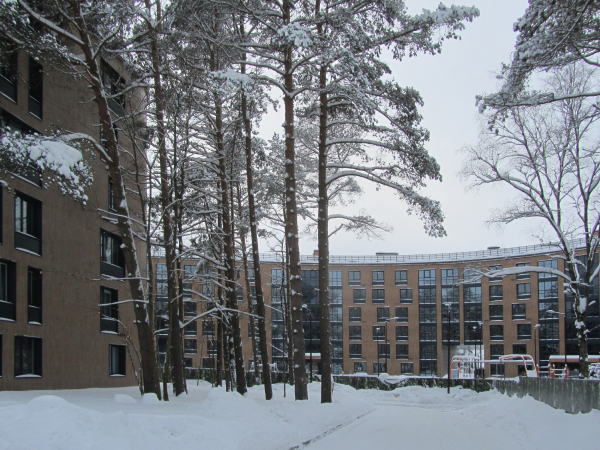 公园健康中心“光明世界 内在”丨俄罗斯圣彼得堡丨建筑事务所“А.Лен”,建筑工作室“АММ  проект”-44